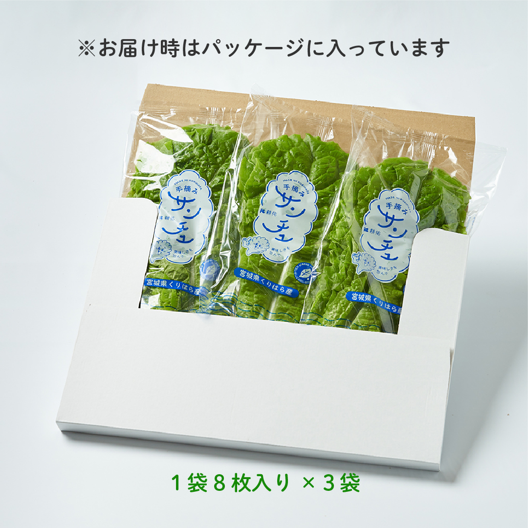 【小鬼盛り】 ポストにお届け サンチュ 3ヶ月(定期便)