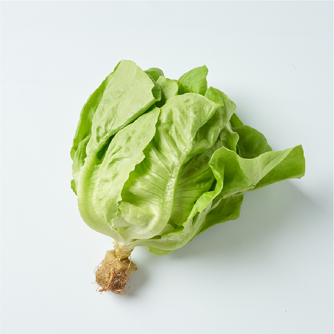 【中鬼盛り】 サラダ菜(産直便)