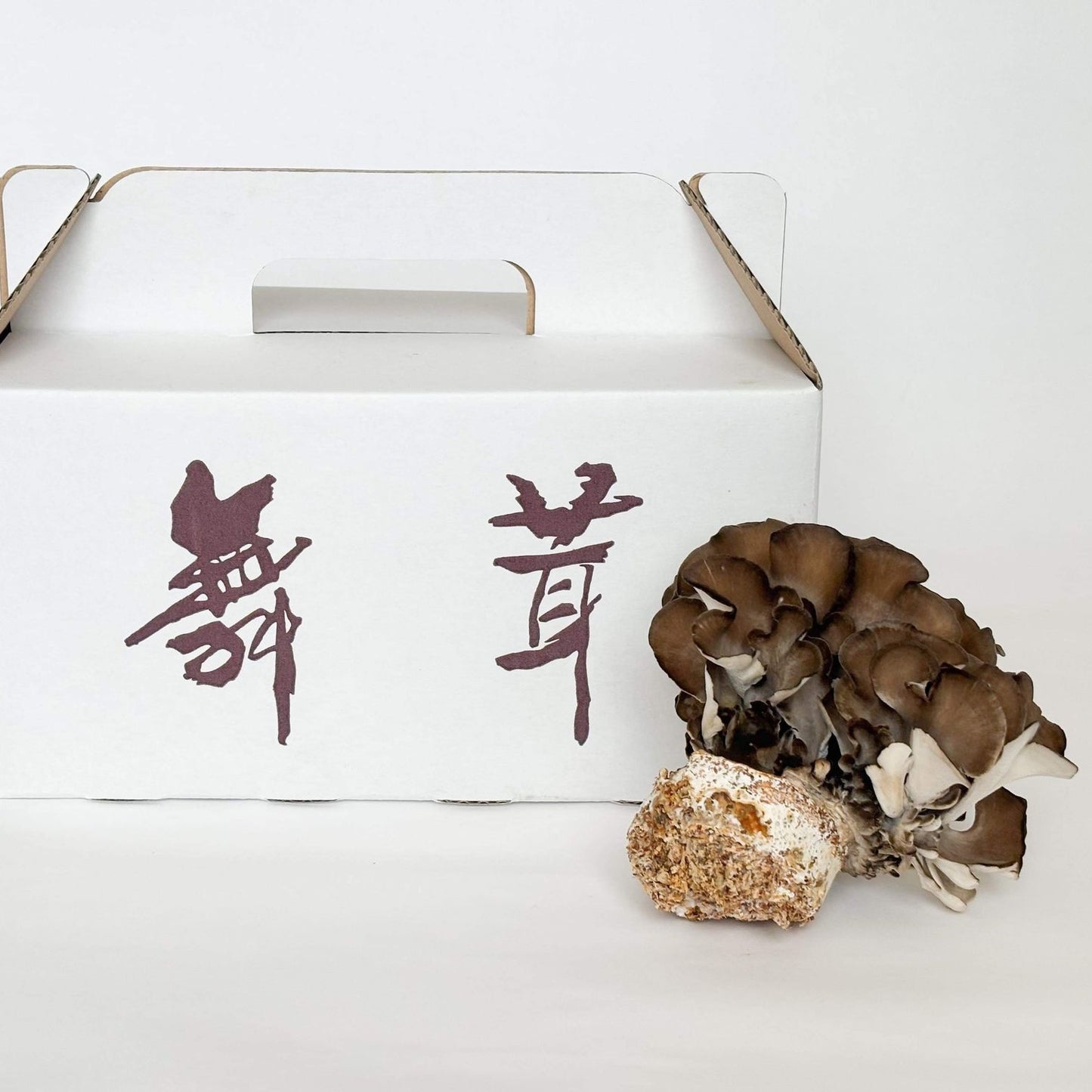 黒舞茸ギフト(産直便)