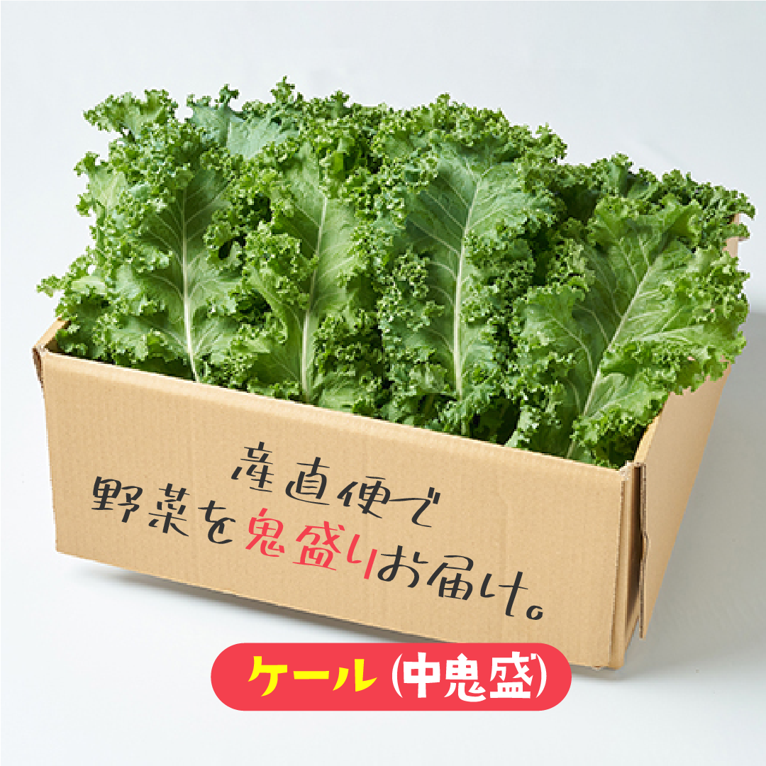 【中鬼盛り】 サラダケール(産直便)