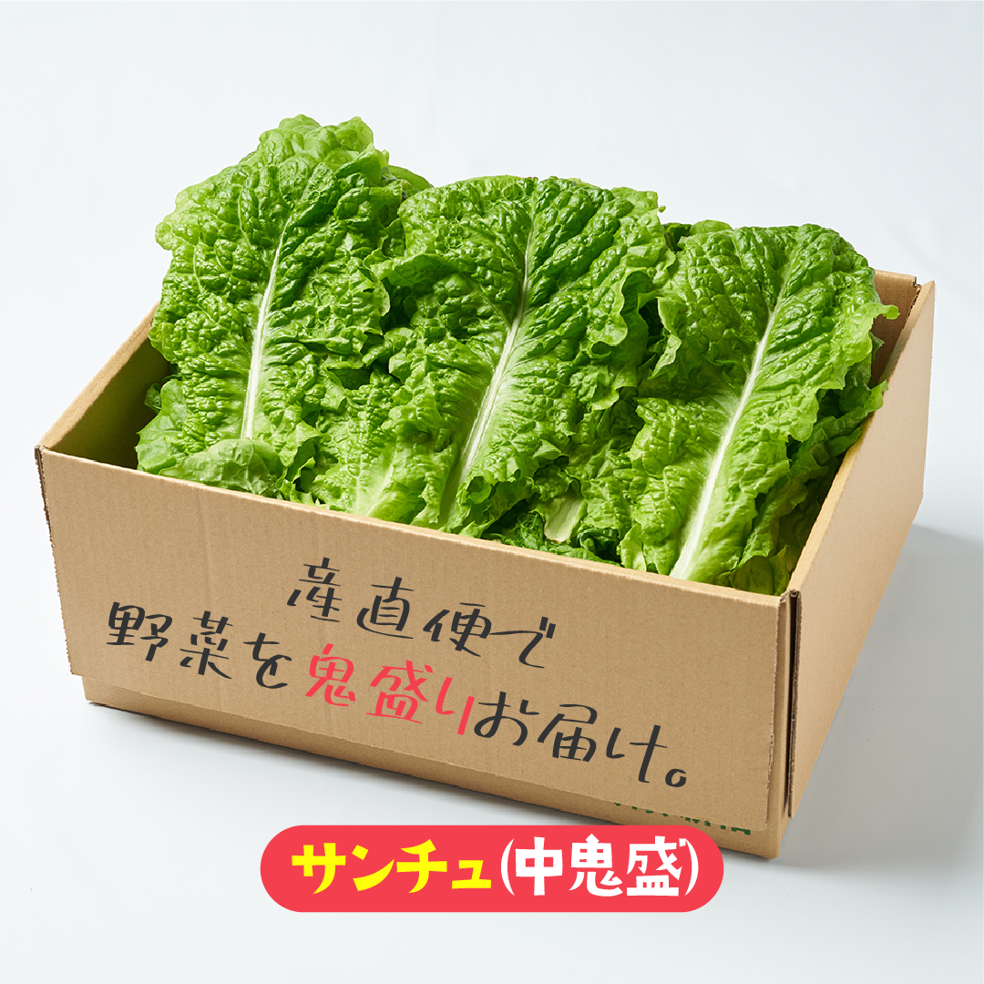 【中鬼盛り】 サンチュ(産直便)
