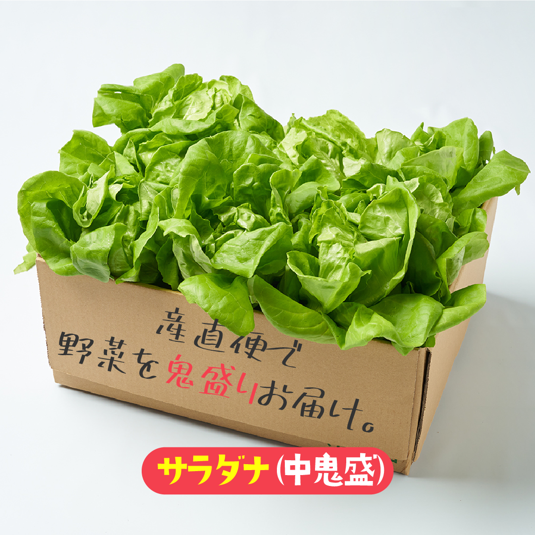 【中鬼盛り】 サラダ菜(産直便)